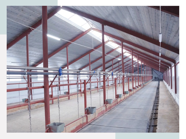 Строительство коровников в Рассказове от 613 руб.