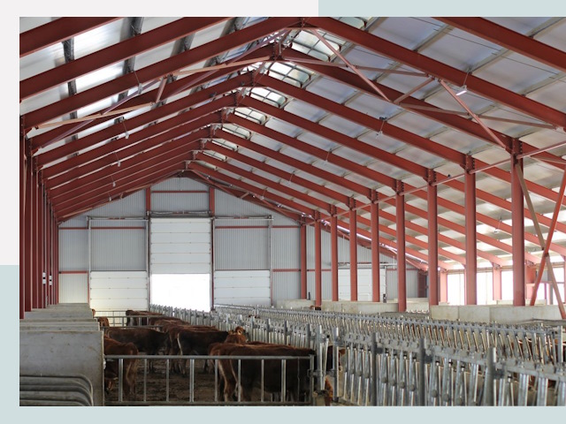 Строительство коровников в Рассказове