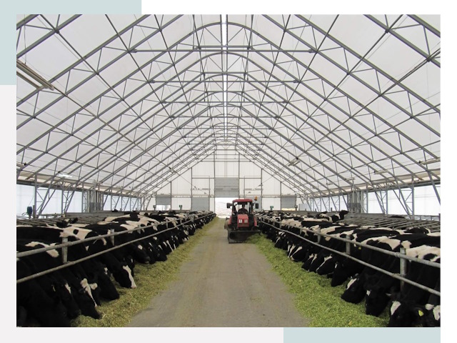 Тентовые коровники в Рассказове от 613 руб. - Надежно и доступно