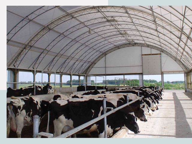 Тентовые коровники в Рассказове